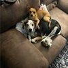 craftyb9314
